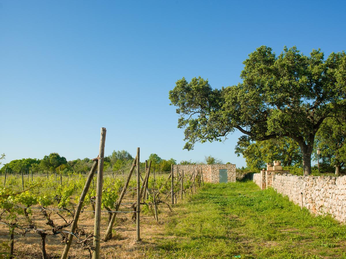 Sa Bassa Rotja Ecoturisme Vendégház Porreres Kültér fotó